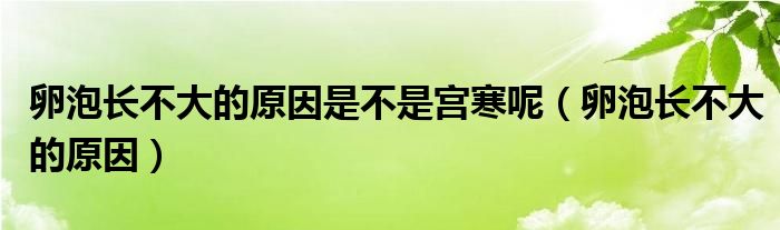 卵泡長(zhǎng)不大的原因是不是宮寒呢（卵泡長(zhǎng)不大的原因）