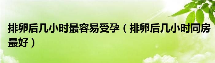 排卵后幾小時最容易受孕（排卵后幾小時同房最好）