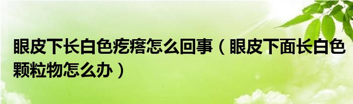 眼皮下長(zhǎng)白色疙瘩怎么回事（眼皮下面長(zhǎng)白色顆粒物怎么辦）