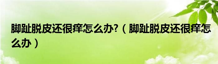 腳趾脫皮還很癢怎么辦?（腳趾脫皮還很癢怎么辦）