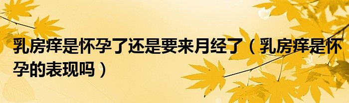 乳房癢是懷孕了還是要來(lái)月經(jīng)了（乳房癢是懷孕的表現(xiàn)嗎）