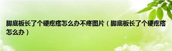 腳底板長(zhǎng)了個(gè)硬疙瘩怎么辦不疼圖片（腳底板長(zhǎng)了個(gè)硬疙瘩怎么辦）