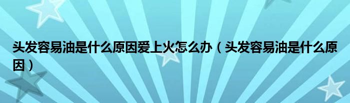 頭發(fā)容易油是什么原因愛上火怎么辦（頭發(fā)容易油是什么原因）