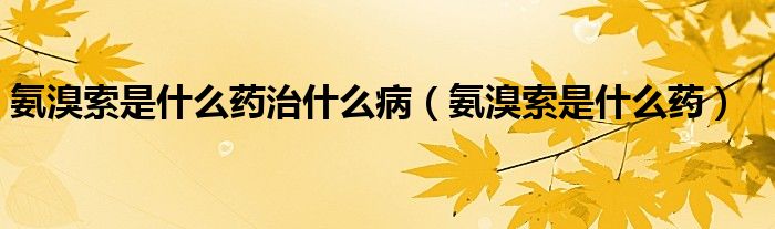 氨溴索是什么藥治什么?。ò变逅魇鞘裁此帲? /></span>
		<span id=