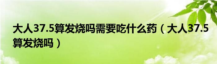 大人37.5算發(fā)燒嗎需要吃什么藥（大人37.5算發(fā)燒嗎）