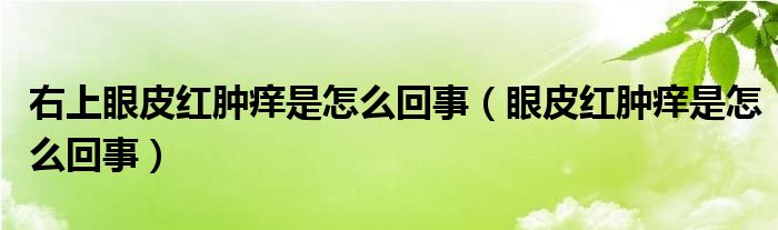 右上眼皮紅腫癢是怎么回事（眼皮紅腫癢是怎么回事）