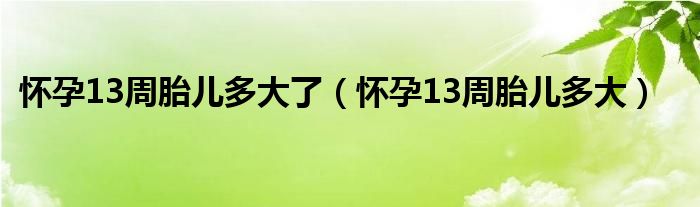 懷孕13周胎兒多大了（懷孕13周胎兒多大）