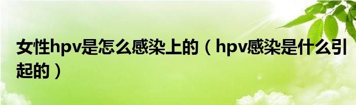 女性hpv是怎么感染上的（hpv感染是什么引起的）