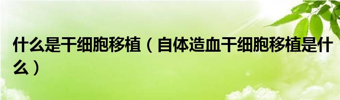 什么是干細(xì)胞移植（自體造血干細(xì)胞移植是什么）