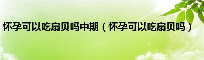 懷孕可以吃扇貝嗎中期（懷孕可以吃扇貝嗎）