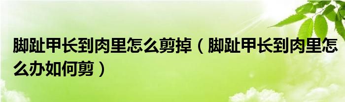 腳趾甲長到肉里怎么剪掉（腳趾甲長到肉里怎么辦如何剪）