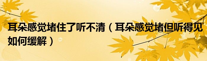 耳朵感覺(jué)堵住了聽(tīng)不清（耳朵感覺(jué)堵但聽(tīng)得見(jiàn)如何緩解）