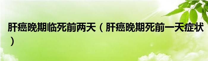 肝癌晚期臨死前兩天（肝癌晚期死前一天癥狀）