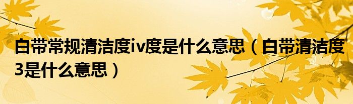 白帶常規(guī)清潔度iv度是什么意思（白帶清潔度3是什么意思）