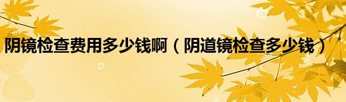 陰鏡檢查費(fèi)用多少錢?。幍犁R檢查多少錢）