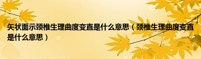 矢狀面示頸椎生理曲度變直是什么意思（頸椎生理曲度變直是什么意思）