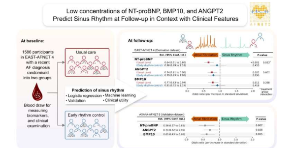 生物標(biāo)志物可以預(yù)測(cè)心房顫動(dòng)患者未來(lái)的竇性心律