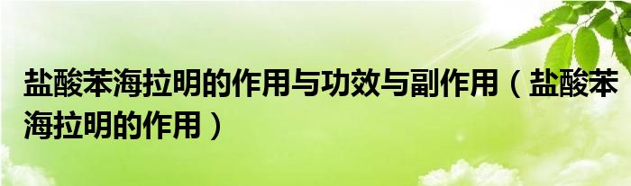 鹽酸苯海拉明的作用與功效與副作用（鹽酸苯海拉明的作用）