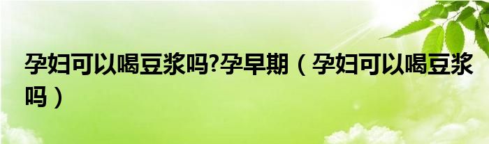 孕婦可以喝豆?jié){嗎?孕早期（孕婦可以喝豆?jié){嗎）