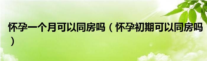 懷孕一個(gè)月可以同房嗎（懷孕初期可以同房嗎）