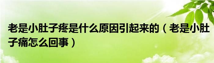 老是小肚子疼是什么原因引起來的（老是小肚子痛怎么回事）