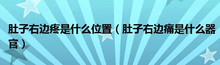 肚子右邊疼是什么位置（肚子右邊痛是什么器官）