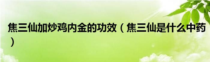 焦三仙加炒雞內(nèi)金的功效（焦三仙是什么中藥）