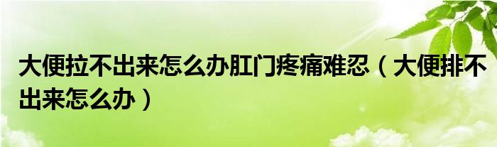 大便拉不出來(lái)怎么辦肛門疼痛難忍（大便排不出來(lái)怎么辦）