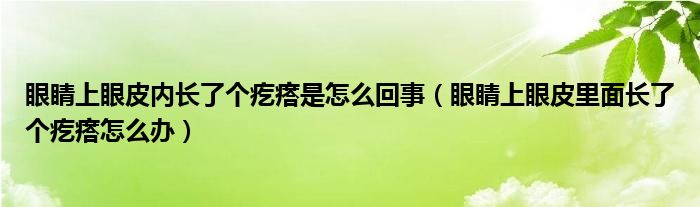 眼睛上眼皮內(nèi)長(zhǎng)了個(gè)疙瘩是怎么回事（眼睛上眼皮里面長(zhǎng)了個(gè)疙瘩怎么辦）