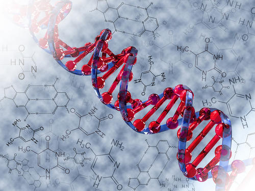 特寫觀察癌細(xì)胞中的突變DNA